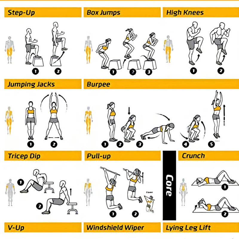 Pôsteres de Exercícios para Tr - Sports Equipment Poster avaliação e preço
