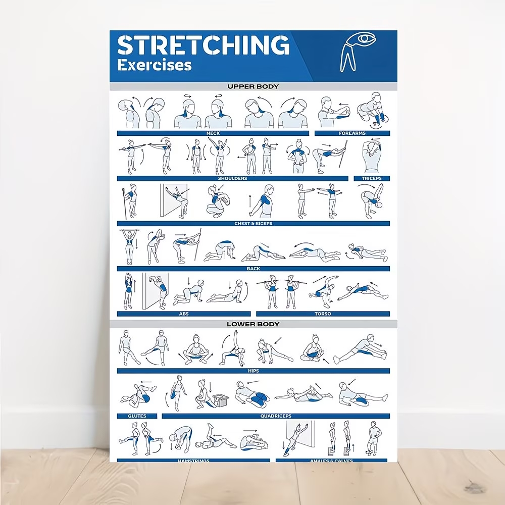 Pôster moderno com etiquetas d - Sports Equipment Poster avaliação e preço